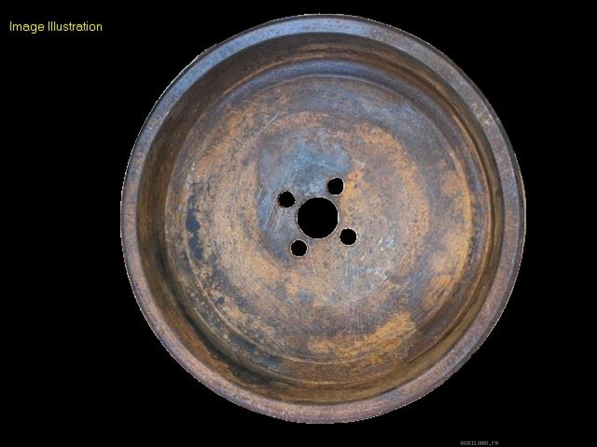 POULIE DE VILEBREQUIN 