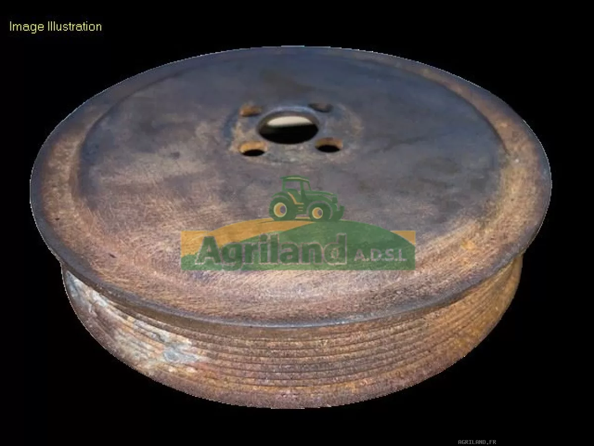 POULIE DE VILEBREQUIN 