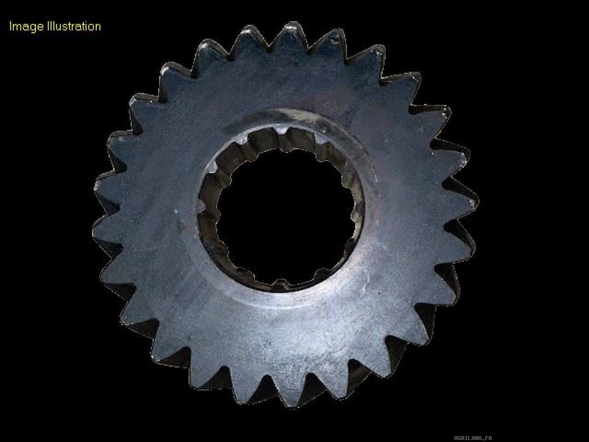 PIGNON Z25 (30KM/H, 40KM/H)