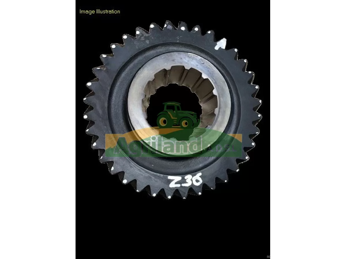 PIGNON DE GAMMES Z36 (30KM/H, 40KM/H)