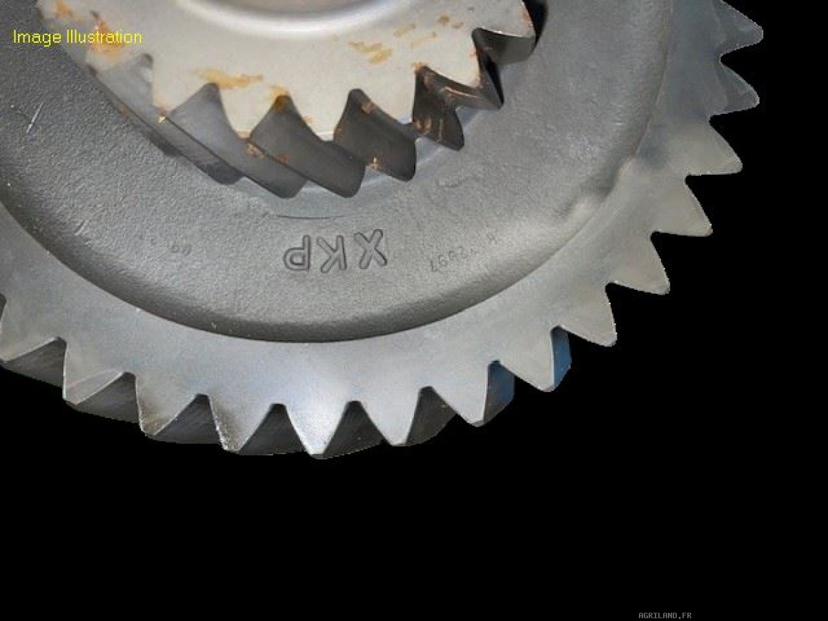 ARBRE D'ENTRAINEMENT AVEC PIGNON 