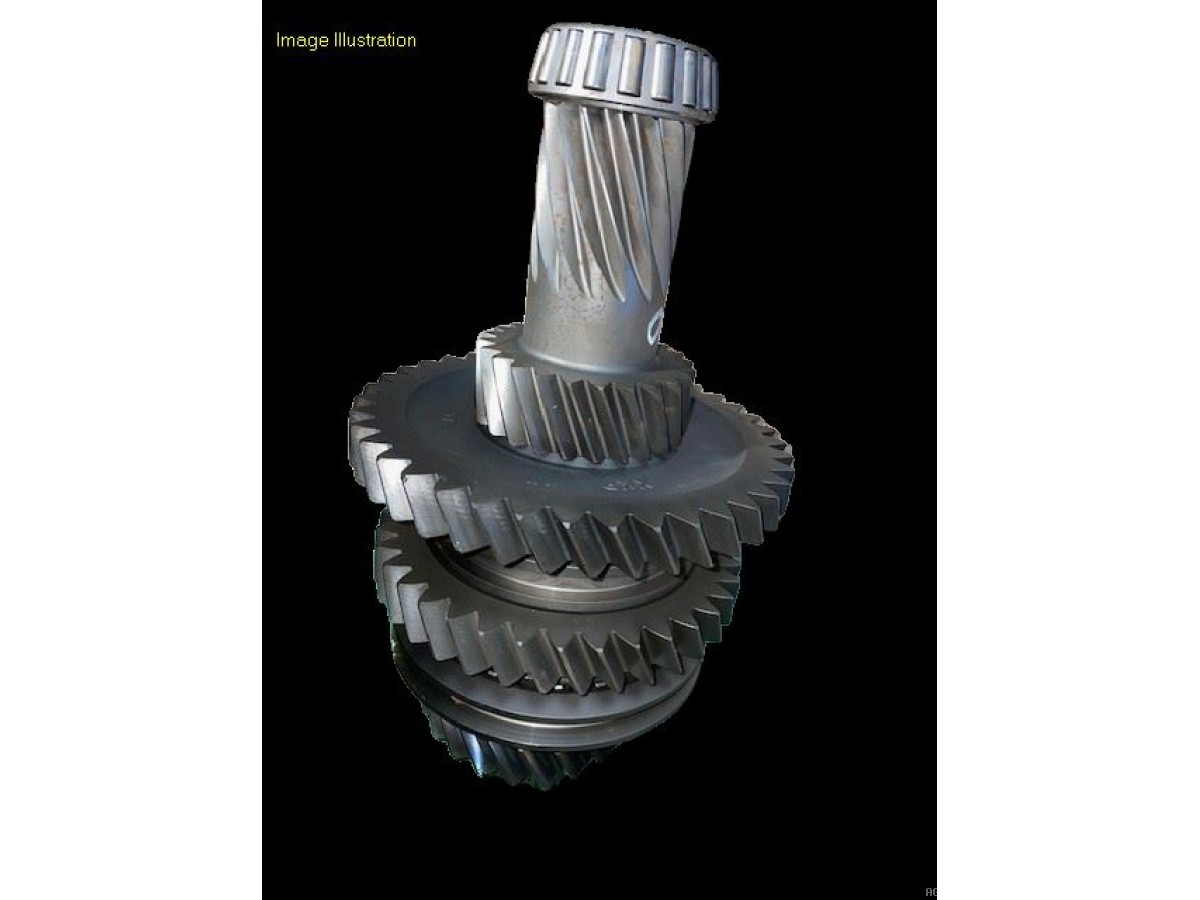 ARBRE D'ENTRAINEMENT AVEC PIGNON 