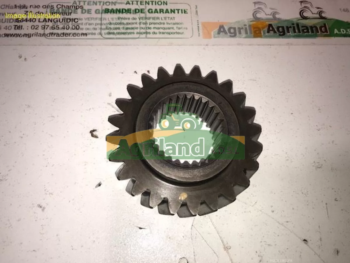 PIGNON D'ENTRAINEMENT Z24
