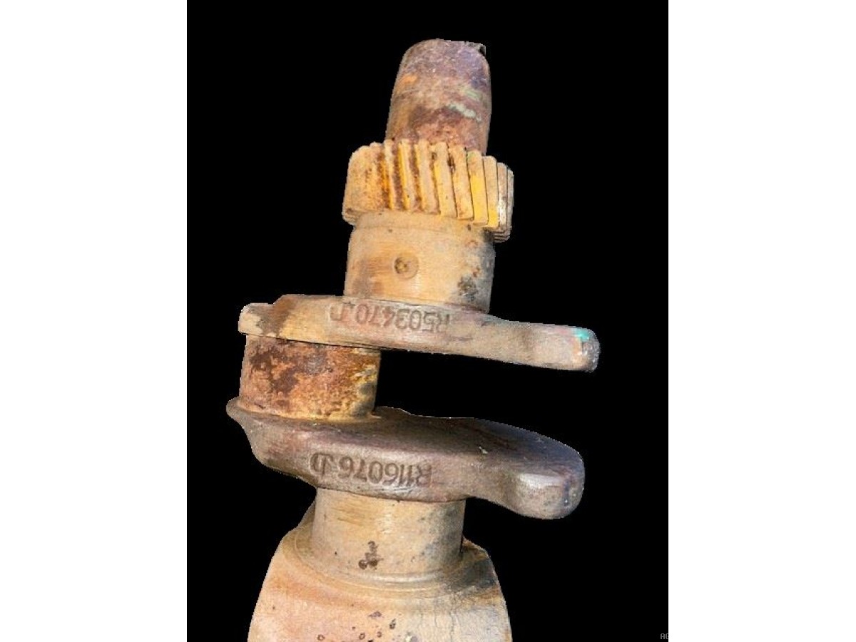 VILEBREQUIN RECONSTRUIT