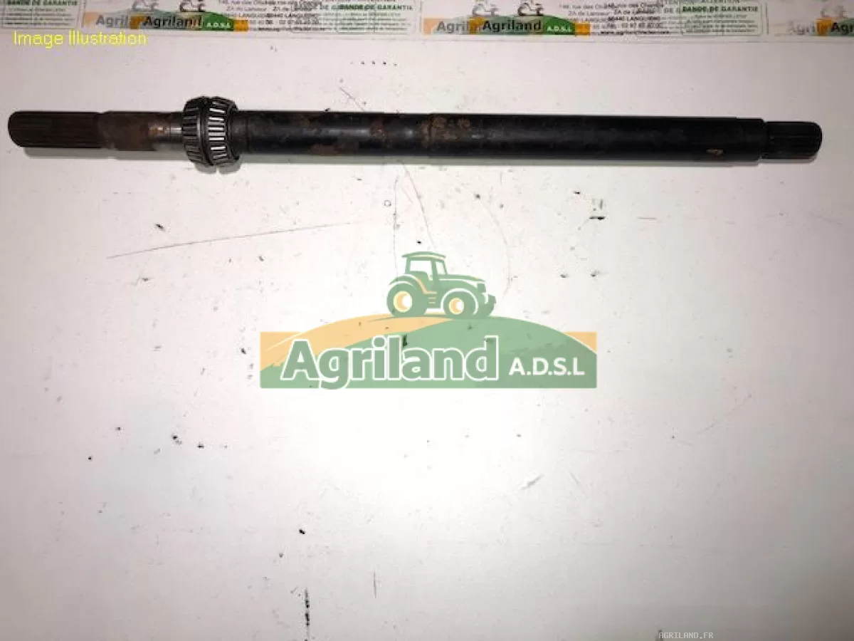 ARBRE D'ENTRAINEMENT 