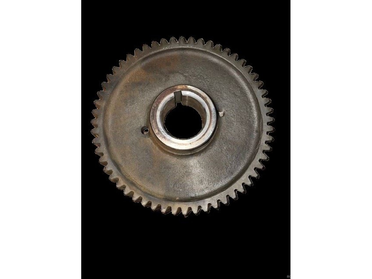 PIGNON DE L'ARBRE À CAMES Z56