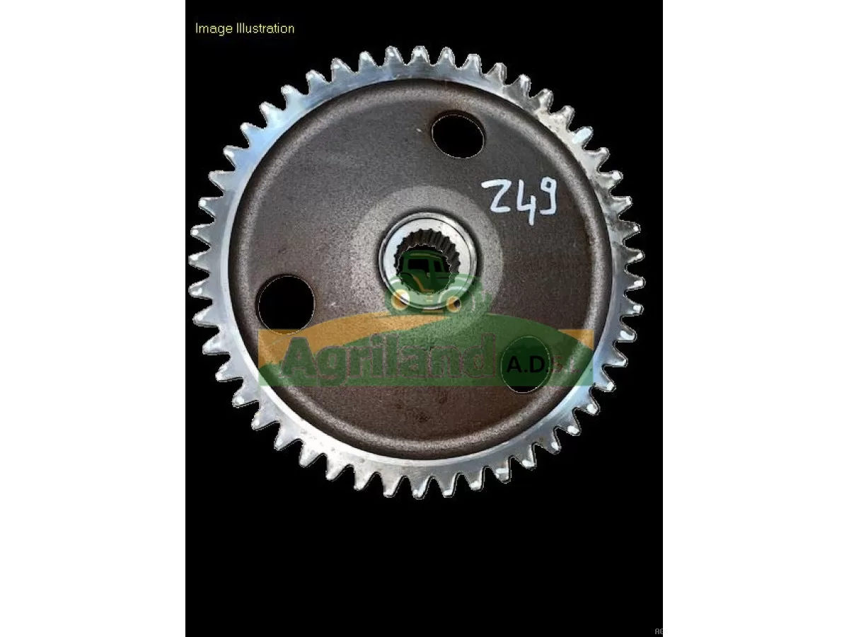 PIGNON LATERAL Z49