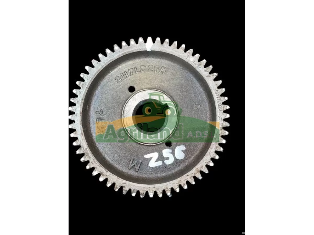 PIGNON DE L'ARBRE À CAMES Z56