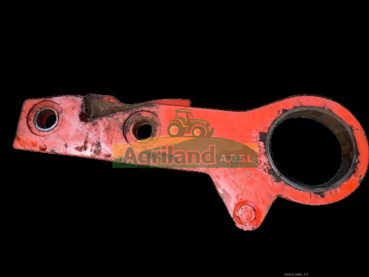 PATTE D'ETANÇON ( ŒILLET) 