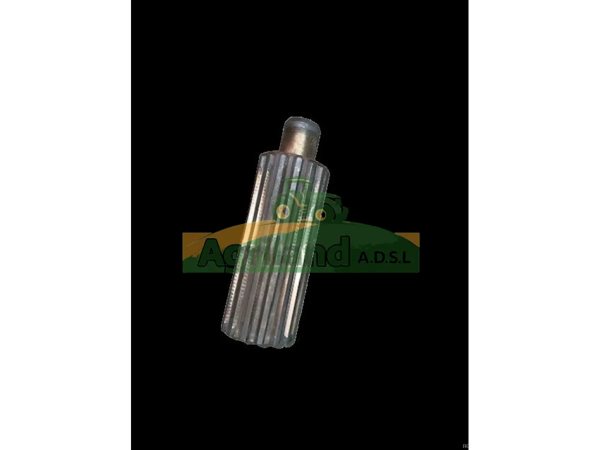 ARBRE D'ENTREE DE PDF