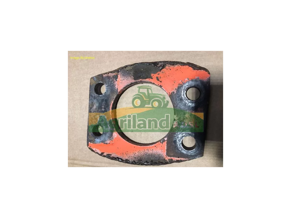 PLAQUE DE FIXATION DES DENTS 