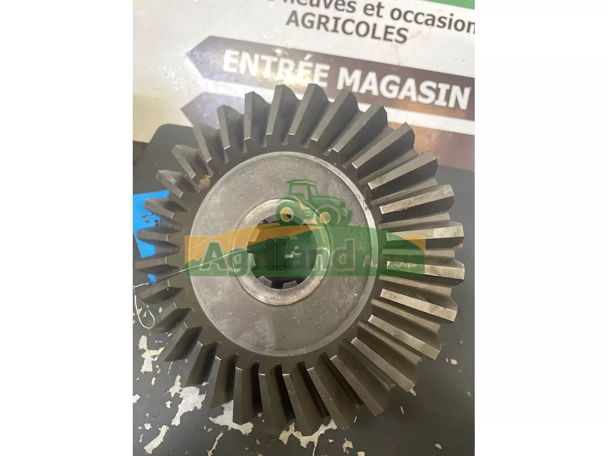 PIGNON CONIQUE Z30